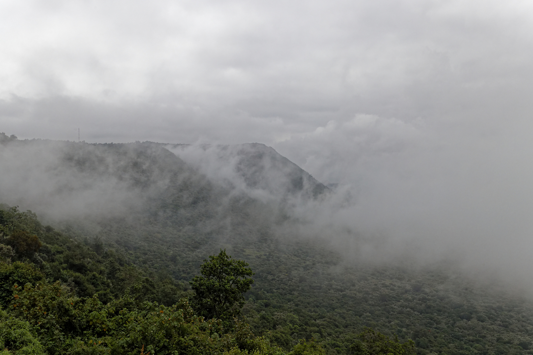 Rift Valley