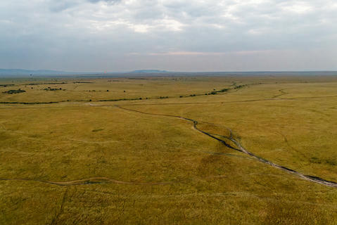 best/2025_07_09/001.jpg