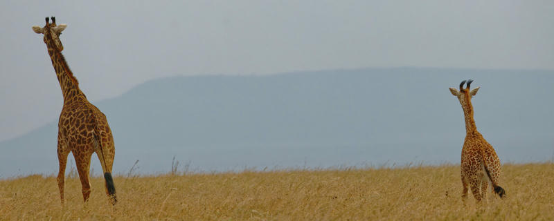 best/2025_07_16/015.jpg